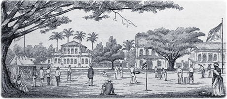 Cricket Bahia