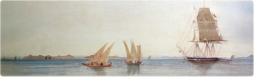 Barcos
